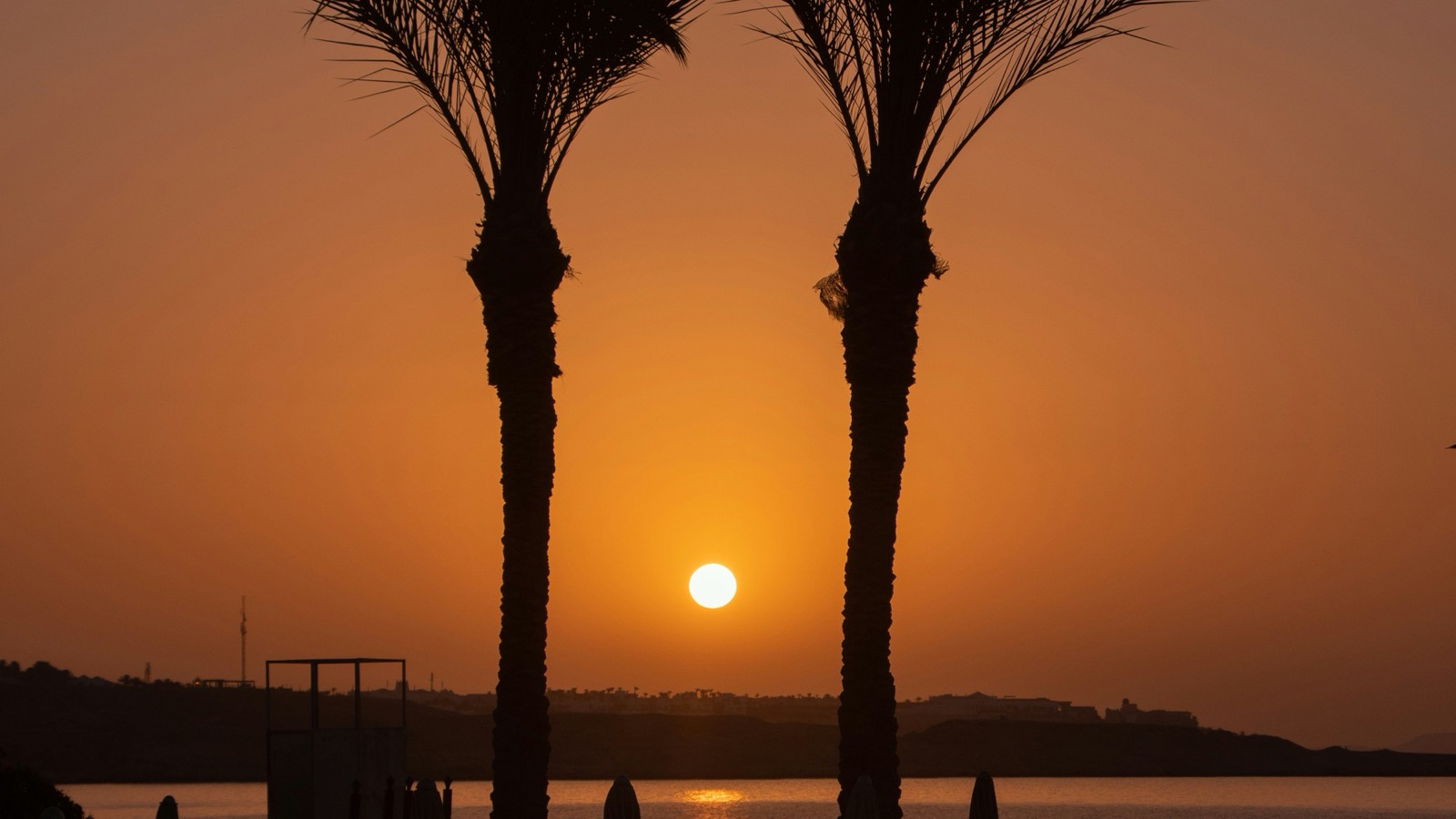 Sunset behind palm trees on a Sharm El Sheikh beach